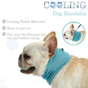 Cooling Collar